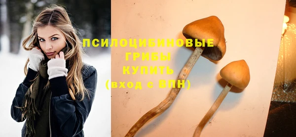 ALPHA PVP Медвежьегорск