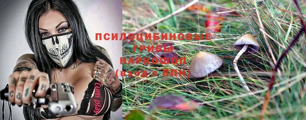 apvp Медногорск