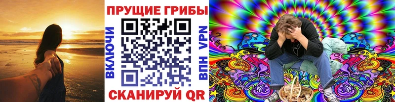 MEGA зеркало  darknet официальный сайт  Галлюциногенные грибы ЛСД  Жердевка 